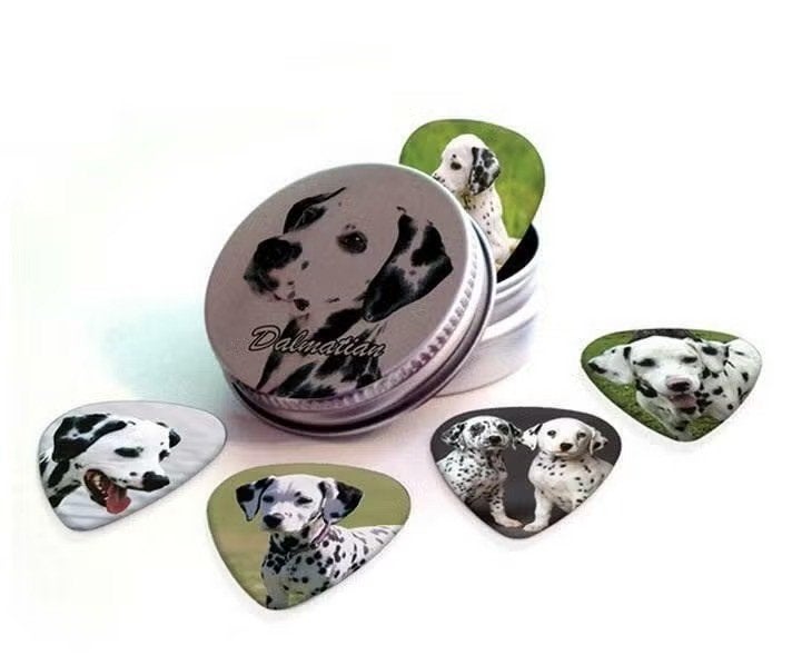 Blikje + plectrums met afbeelding van een Dalmatiër hond, Ophalen of Verzenden, Nieuw