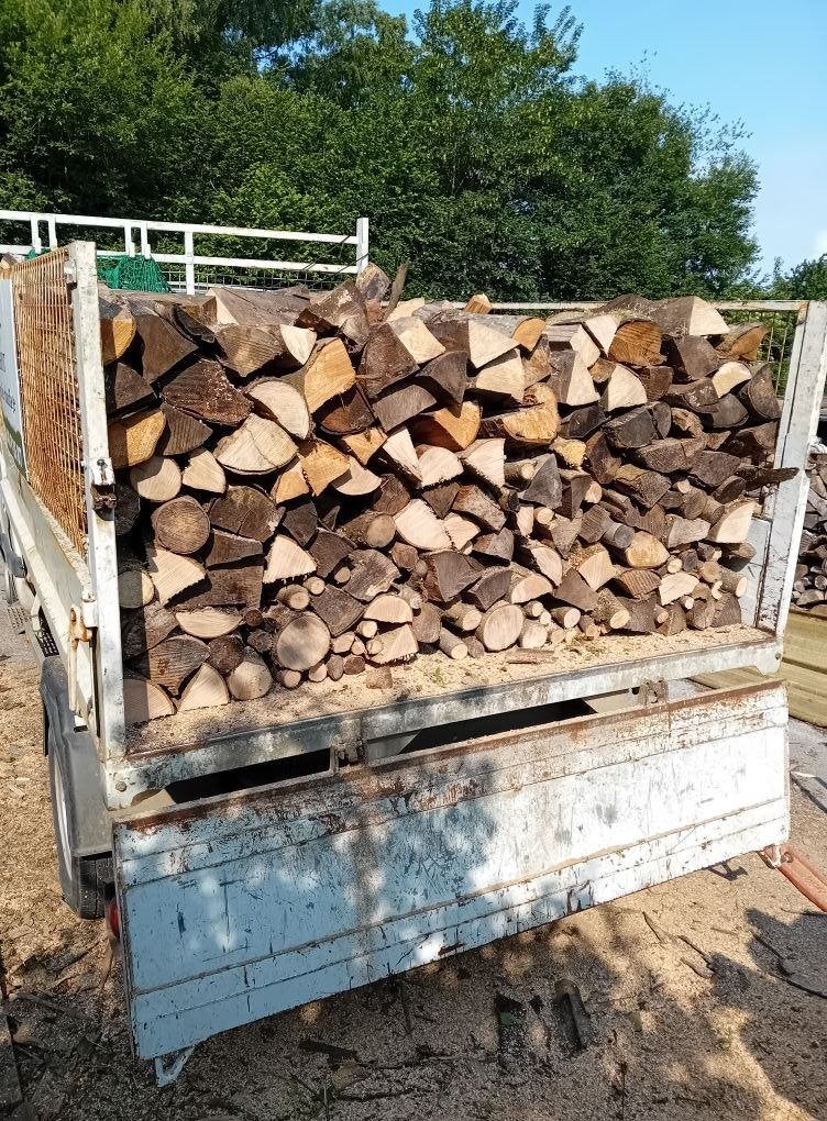 Bois sec, Jardin & Terrasse, 3 à 6 m³, Enlèvement ou Envoi, Hêtre, Bûches