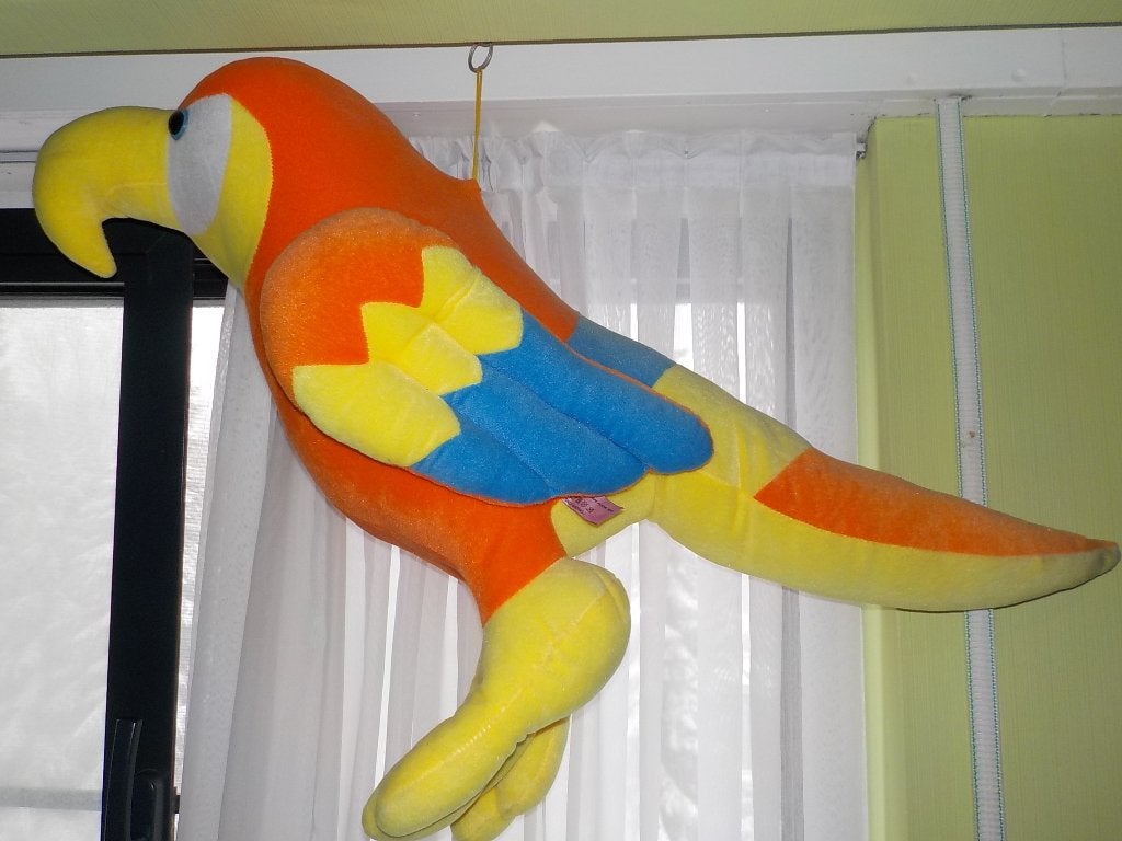 grote knuffel papegaai, Enlèvement ou Envoi, Lavable, Moyen (20 à 80 cm)