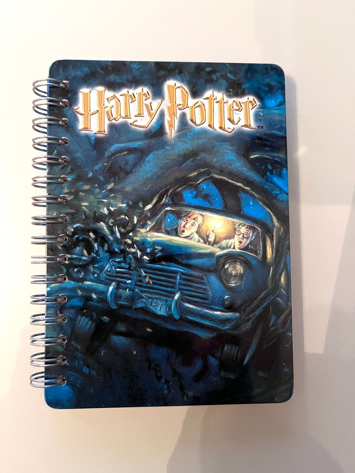 Vintage metalen notitieboekje Harry Potter, Divers, Cahiers de notes, Enlèvement ou Envoi, Neuf