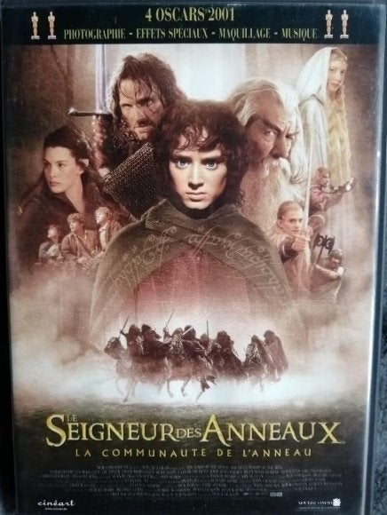 DVD Le Seigneur des Anneaux de Peter Jackson, CD & DVD, Enlèvement ou Envoi, Anglais, Néerlandais