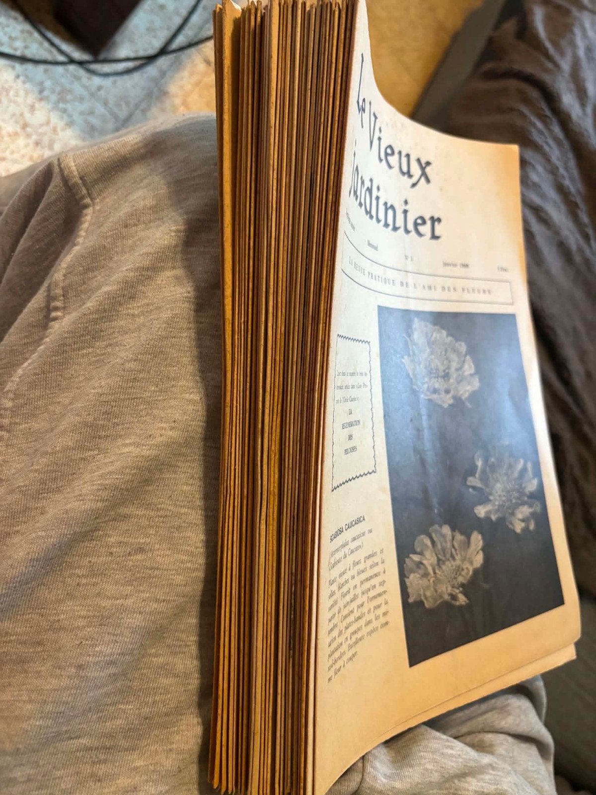 magazines, Collections, Revues, Journaux & Coupures, Enlèvement