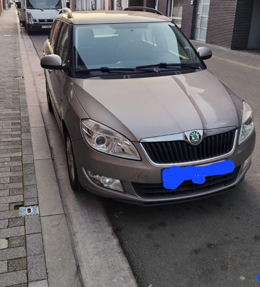Skoda fabia, Auto's, Te koop, Fabia, Euro 5