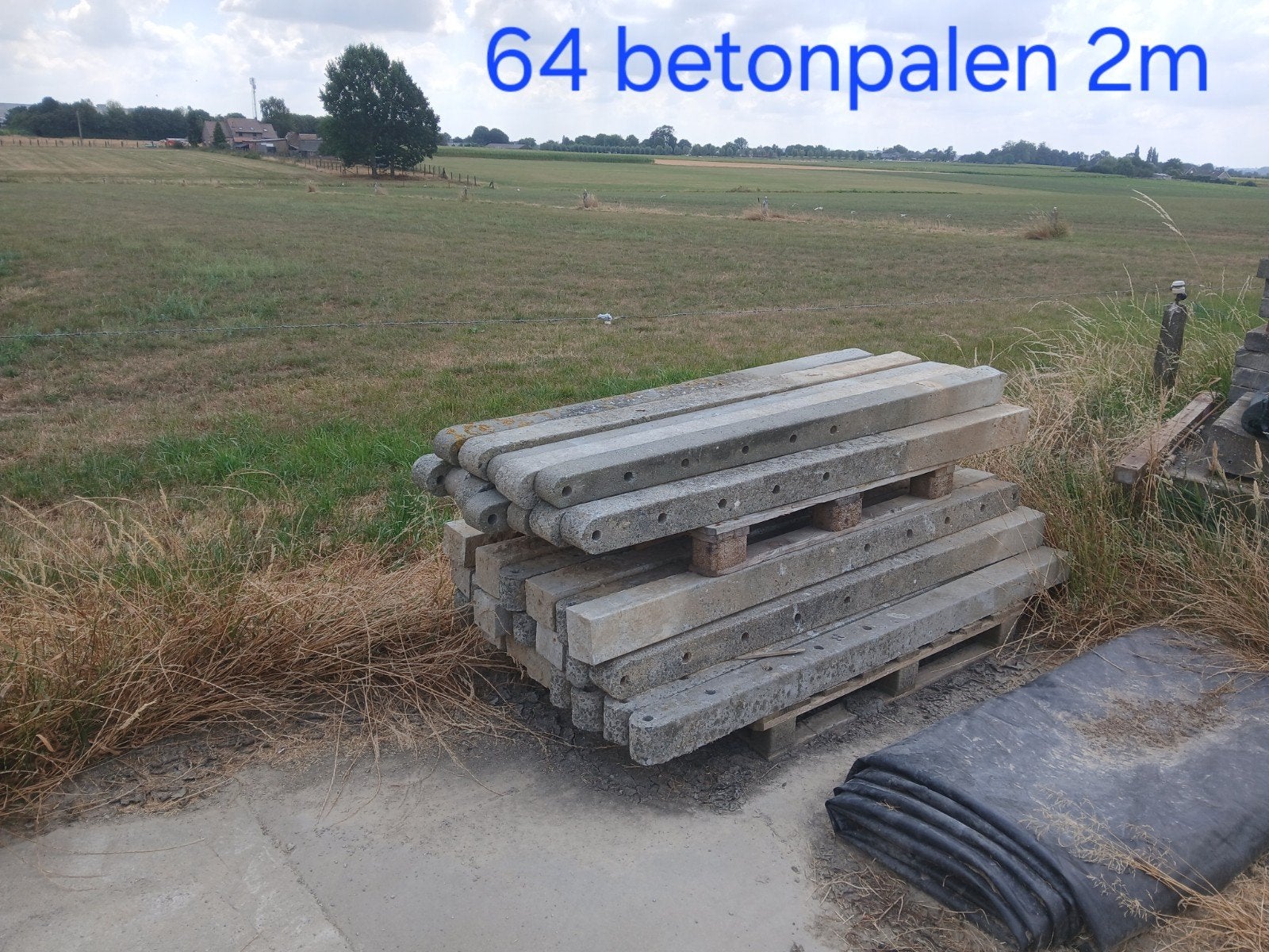 betonnen palen