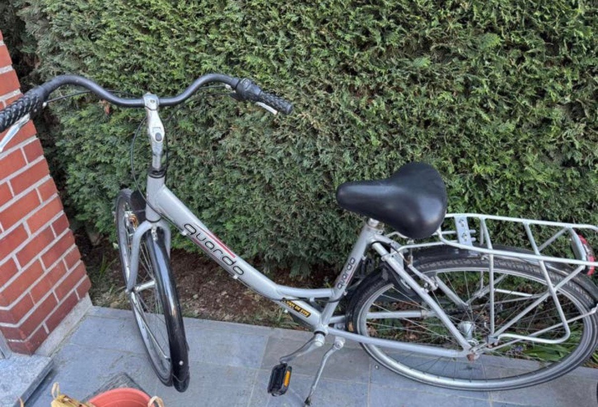 Damesfiets, Ophalen, Gebruikt, 47 tot 50 cm, Versnellingen