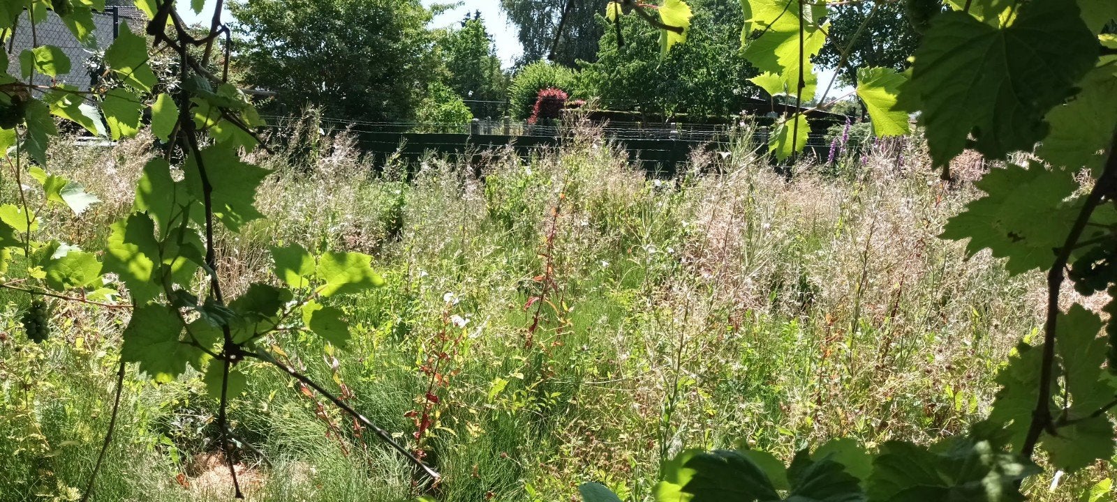 Tuinonderhoud en snoeiwerken gezocht, Jardin & Terrasse, Sécateurs, Enlèvement