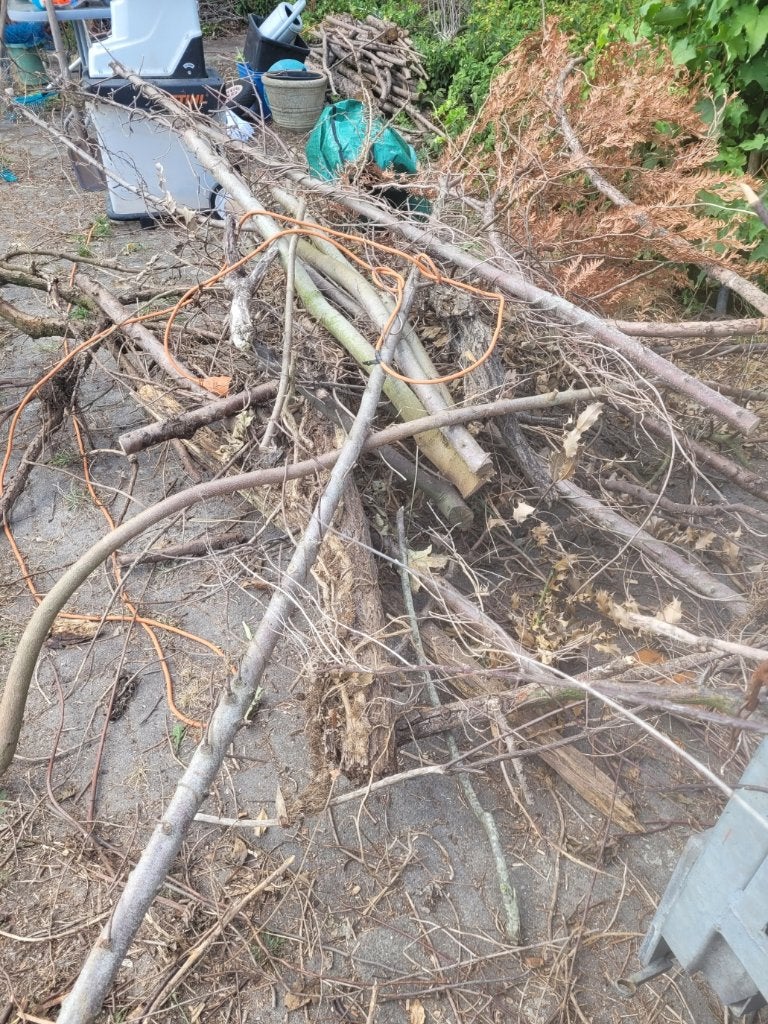 Boomstammetjes, Diversen, Ophalen, Gebruikt