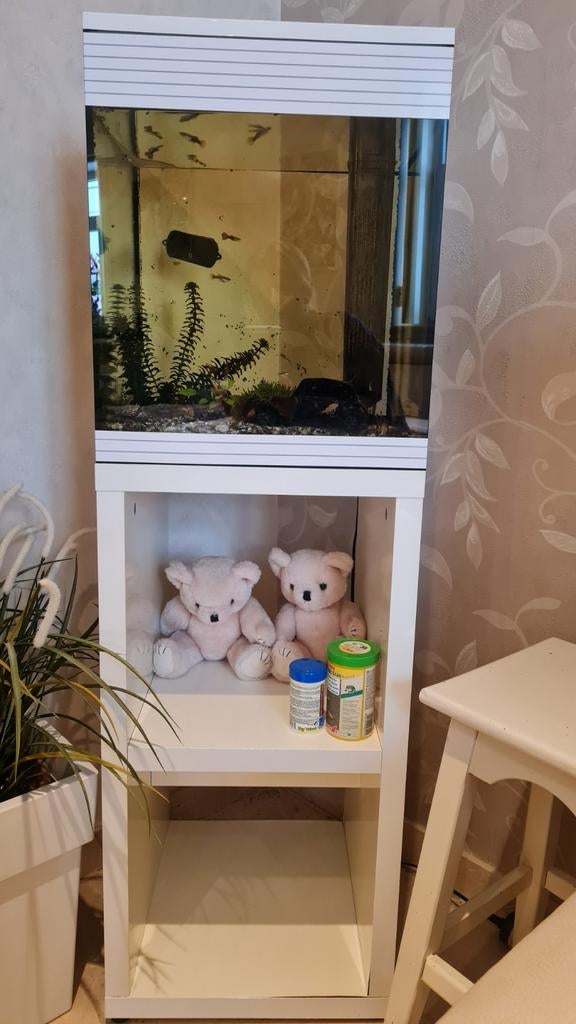 Aquarium, Ophalen