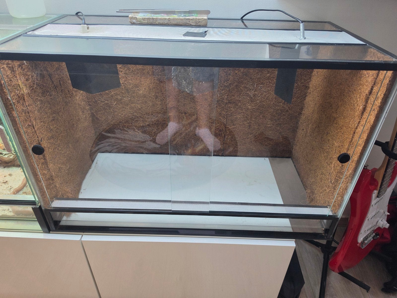 terrarium, Ophalen, Zo goed als nieuw