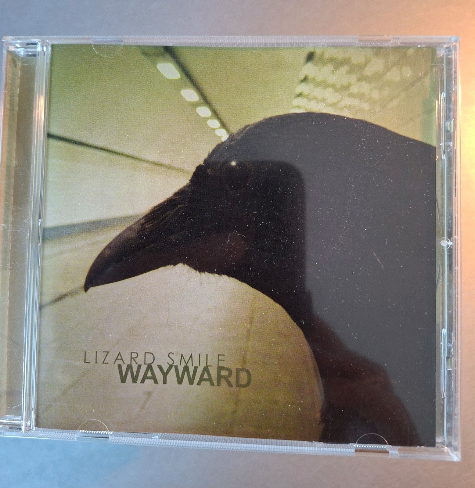 CD. Sourire de lézard. capricieux., Enlèvement ou Envoi