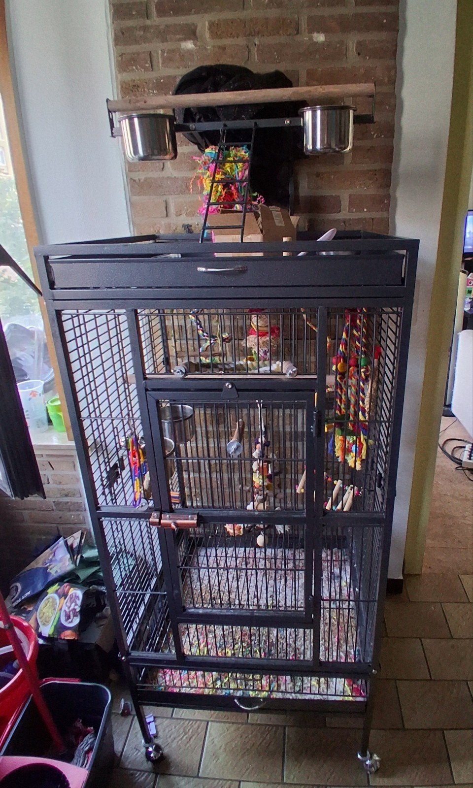 vogelkooi, Enlèvement, Cage à oiseaux