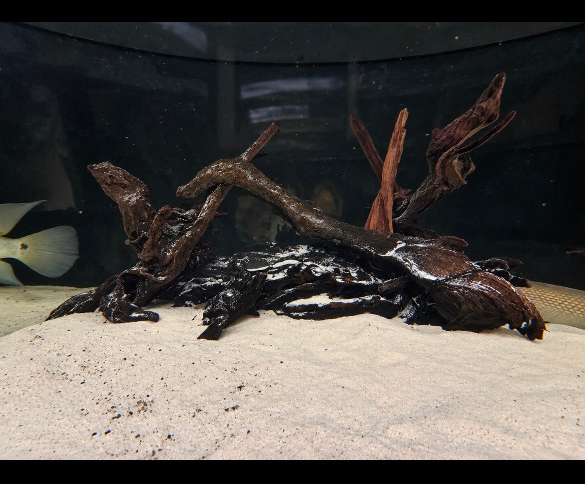 GROOT PARTIJ TROPISCH AQUARIUMHOUT – CA. 15 KG+, Dieren en Toebehoren, Ophalen, Gebruikt, Plant(en), Steen of Hout