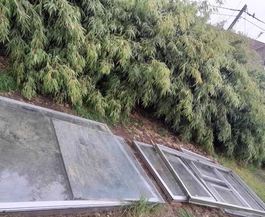 Grote serramen, Ophalen, Gebruikt, Aluminium, Kweekkas