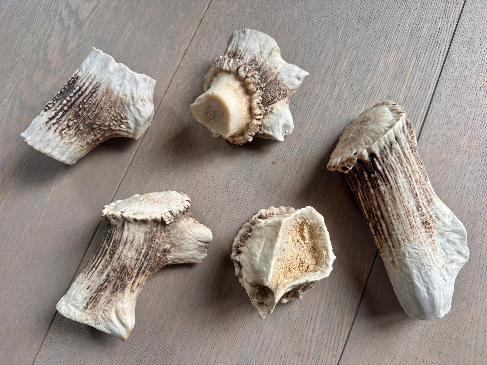 Lot grote hertengeweien voor honden, Ophalen of Verzenden