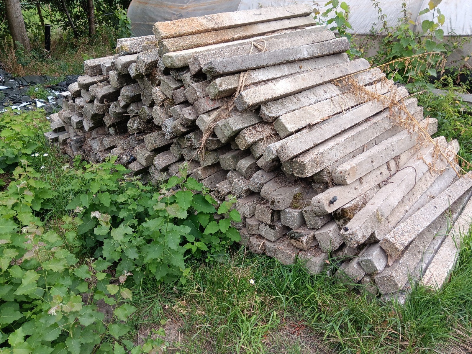 Betonpalen, Ophalen
