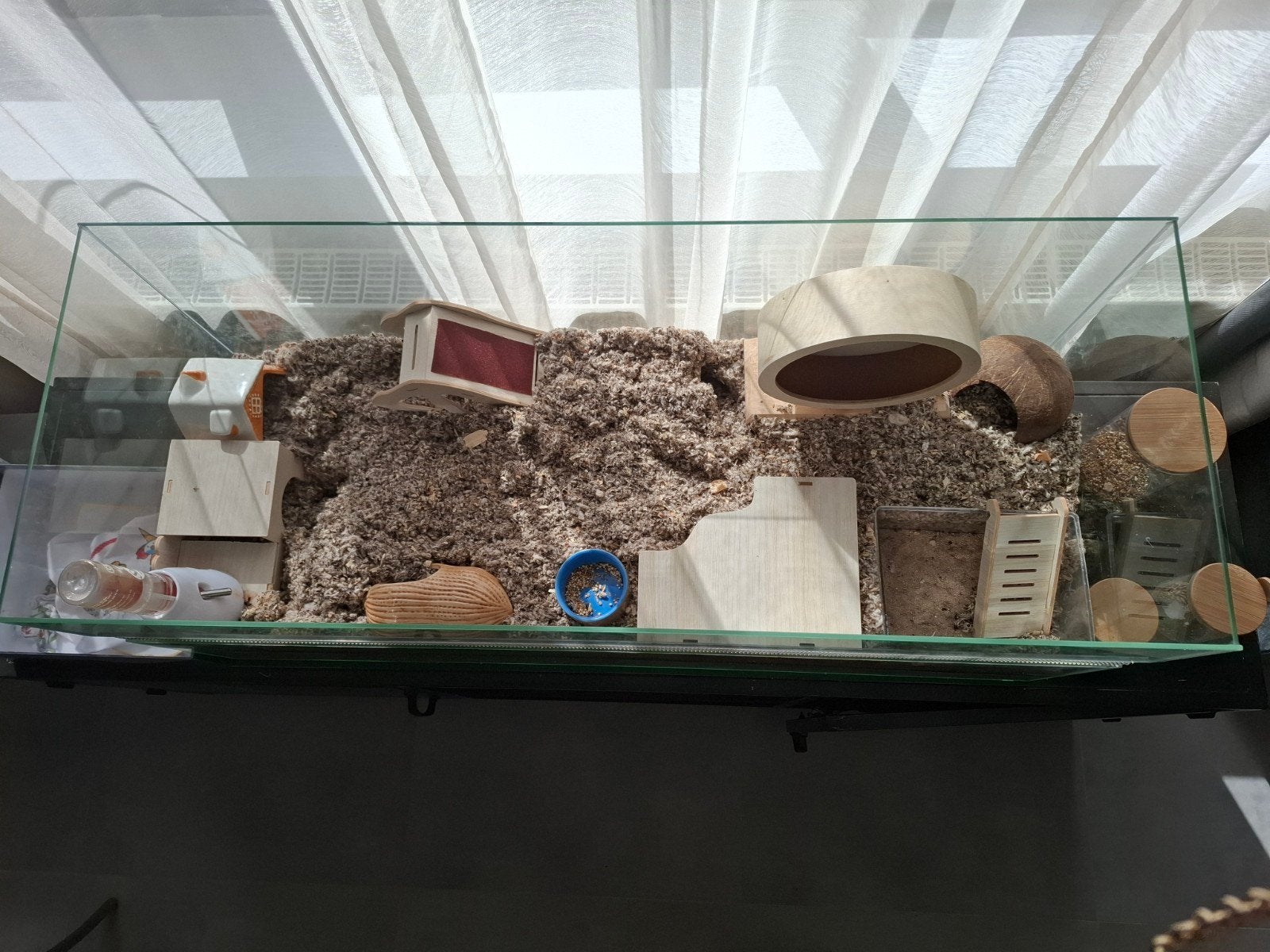 Hamsterkooi of terrarium, hoog, met alles erop en eraan voor, 75 à 110 cm, Cage, Comme neuf, Enlèvement