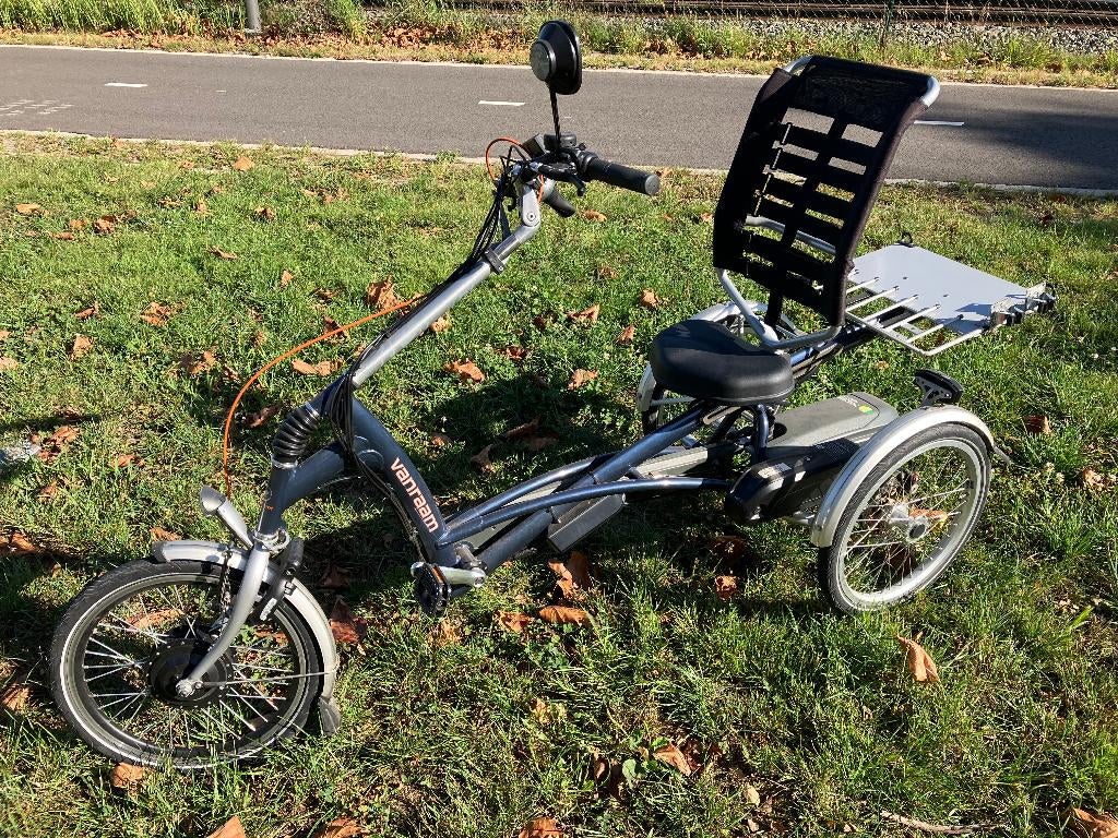 Easy Rider Van Raam elektrische driewielfiets, Fietsen en Brommers, Overige Fietsen en Brommers, Zo goed als nieuw, Ophalen