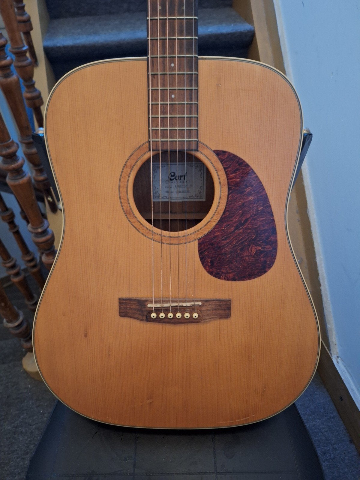 Cort earth akoestische gitaar, Ophalen