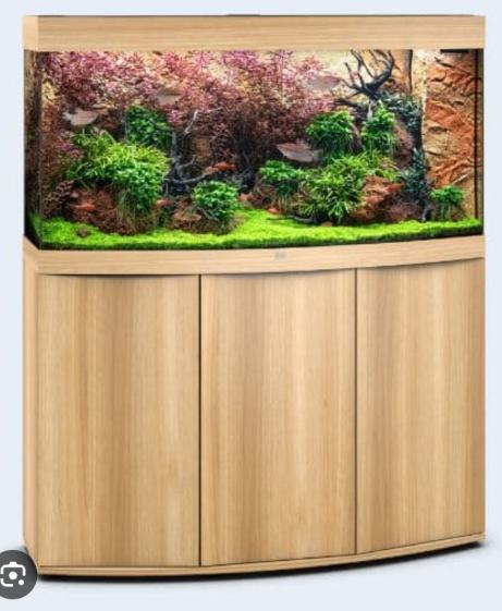 Juwel vision 260l, Animaux & Accessoires, Aquarium d'eau douce rempli, Chauffage, Enlèvement, Utilisé