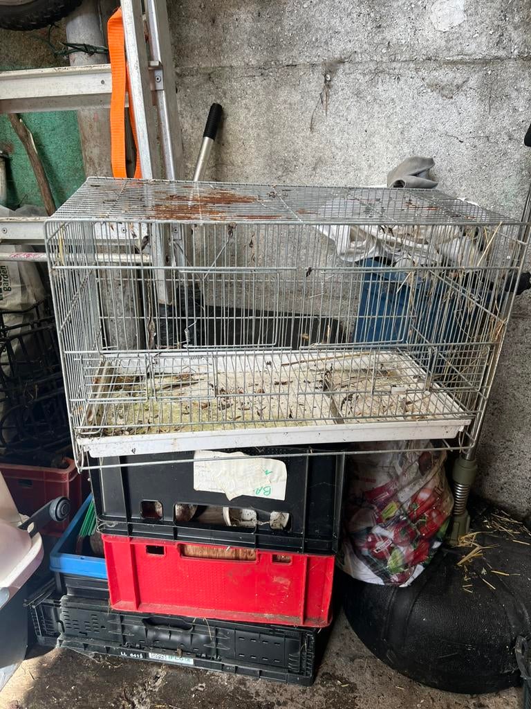 Cage d'élevage, Enlèvement, Comme neuf