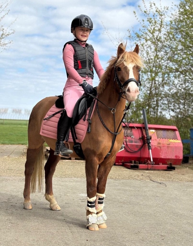 Leuke B pony, Animaux & Accessoires, Poney B (1.17 m à 1.27 m), B, Avec pedigree, Poney de récréation