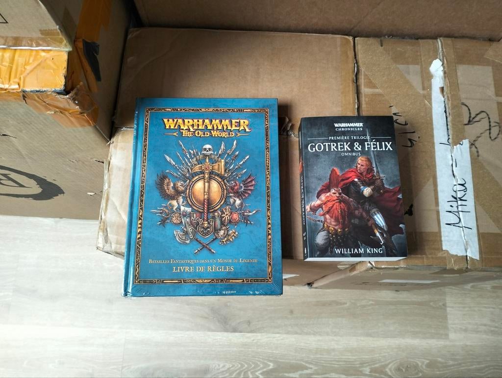 Lot de Miniatures et de 2 livres WH the old World, Enlèvement, Neuf, Warhammer, Figurine(s)