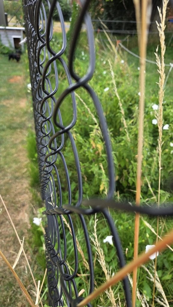 Tuinman gevraagd bepaald werk, Entretien de jardins ou Taille