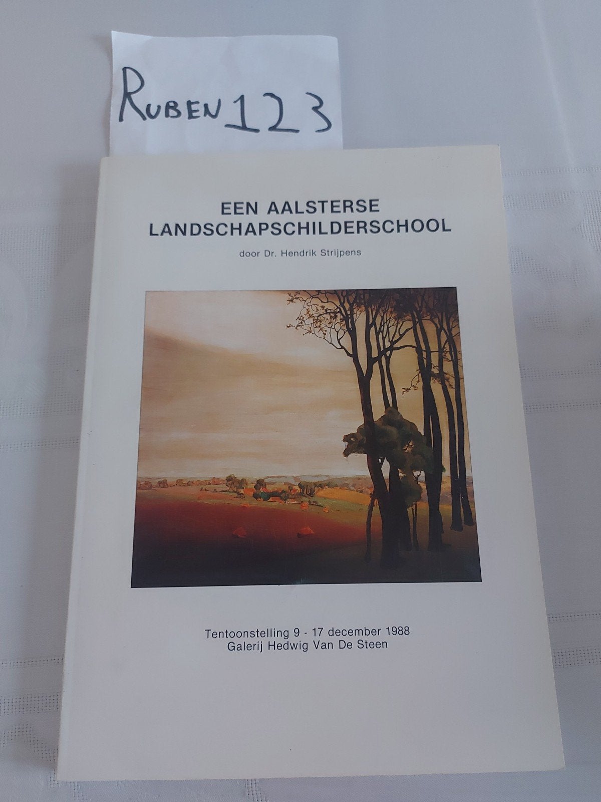 Een Aalsterse Landschapschilderschool, Boeken, Geschiedenis | Stad en Regio, Ophalen of Verzenden