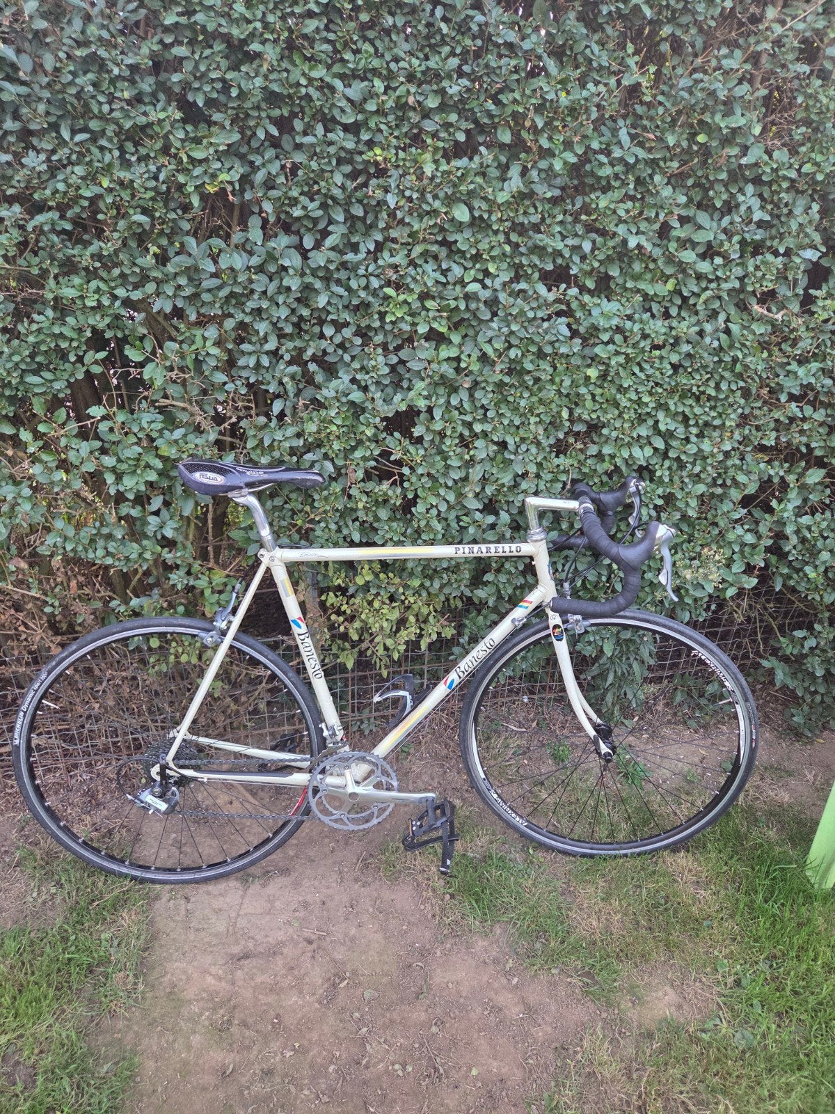 velo de course Pinarello vintage, Ophalen