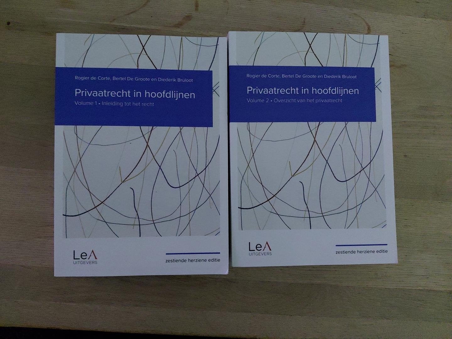 Privaatrecht in hoofdlijnen 16de editie - Volume 1&2, Livres, Science, Enlèvement ou Envoi, Rogier De Corte; Bertel De Groote; Diederik Bruloot