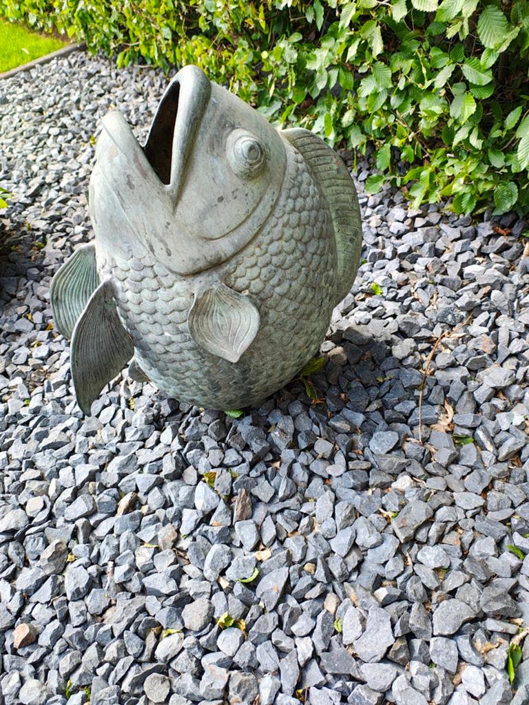 Bronzen vis, Ophalen