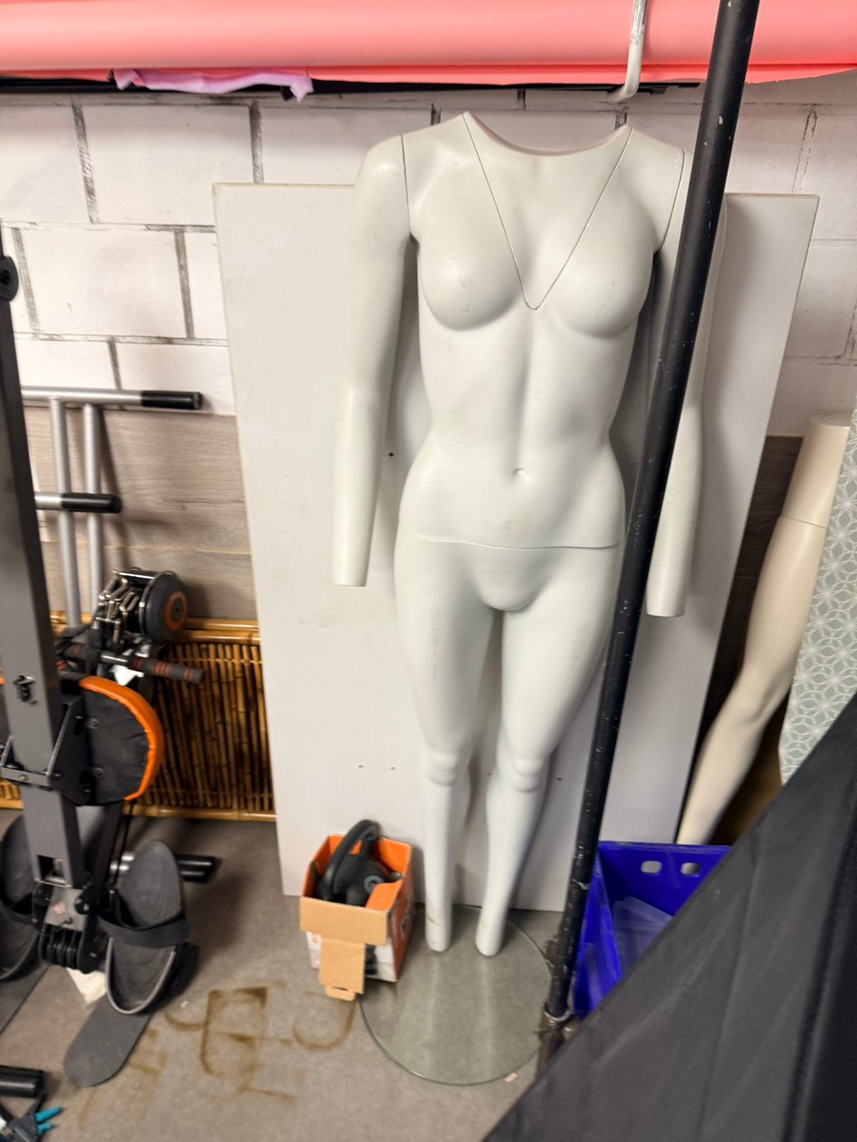 Poupée mannequin féminine, Enlèvement