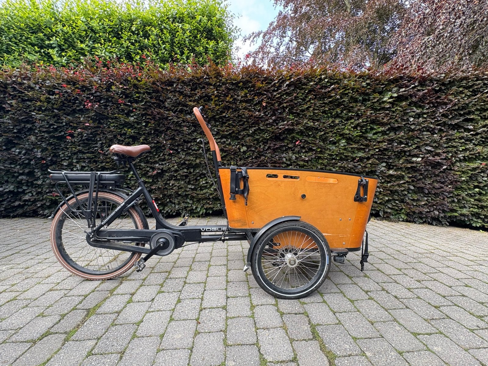 Elektrische bakfiets Vogue Carry 3, Fietsen en Brommers, Fietsen | Bakfietsen, Zo goed als nieuw, Overige merken, 4 kinderen of meer