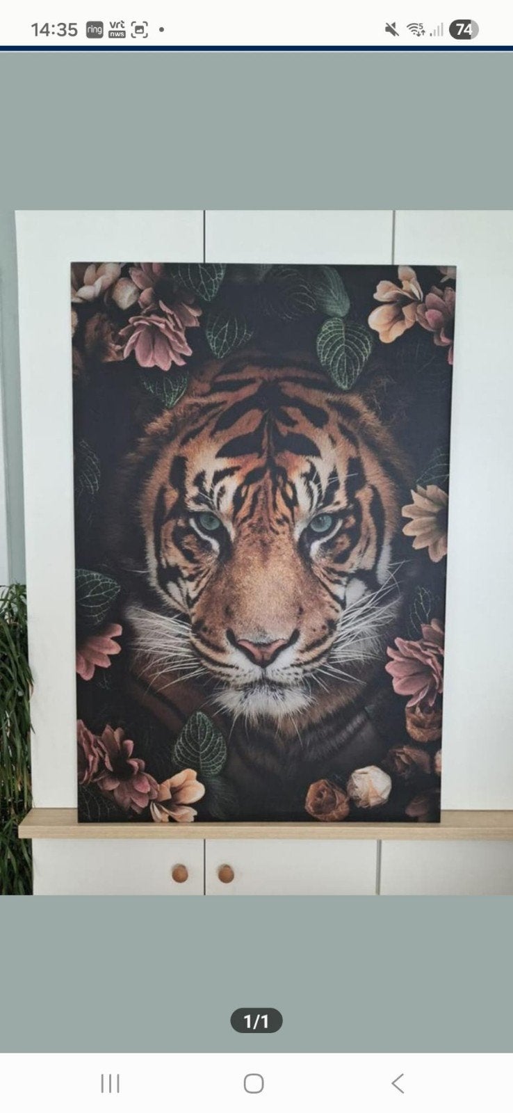 Canvas  Tijger  groot, Huis en Inrichting, Ophalen
