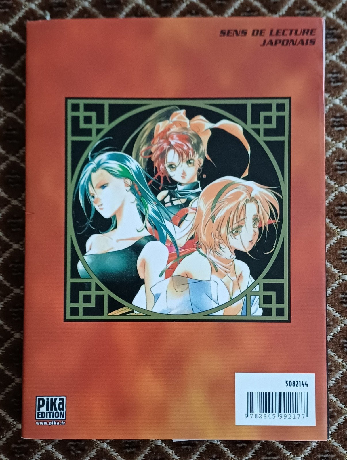 Manga Lin 3, Enlèvement