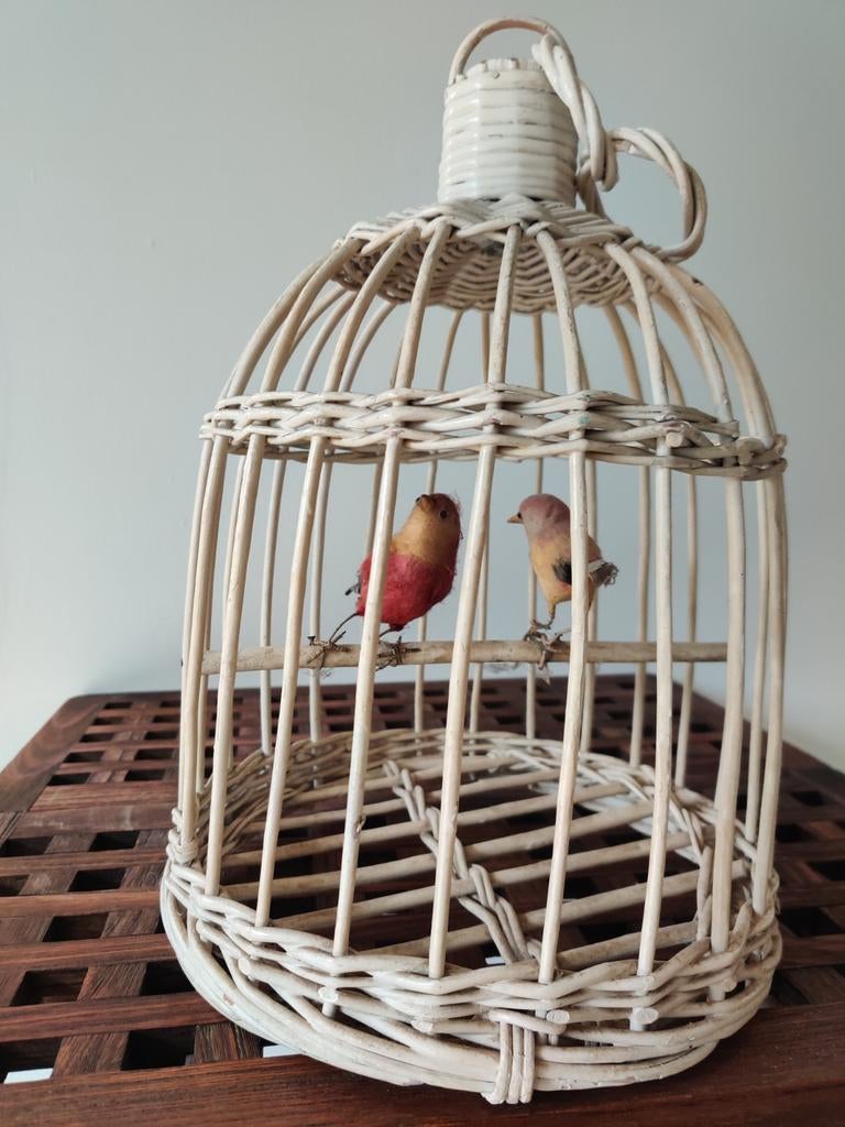 Cage à oiseaux décorative avec 2 oiseaux, Enlèvement