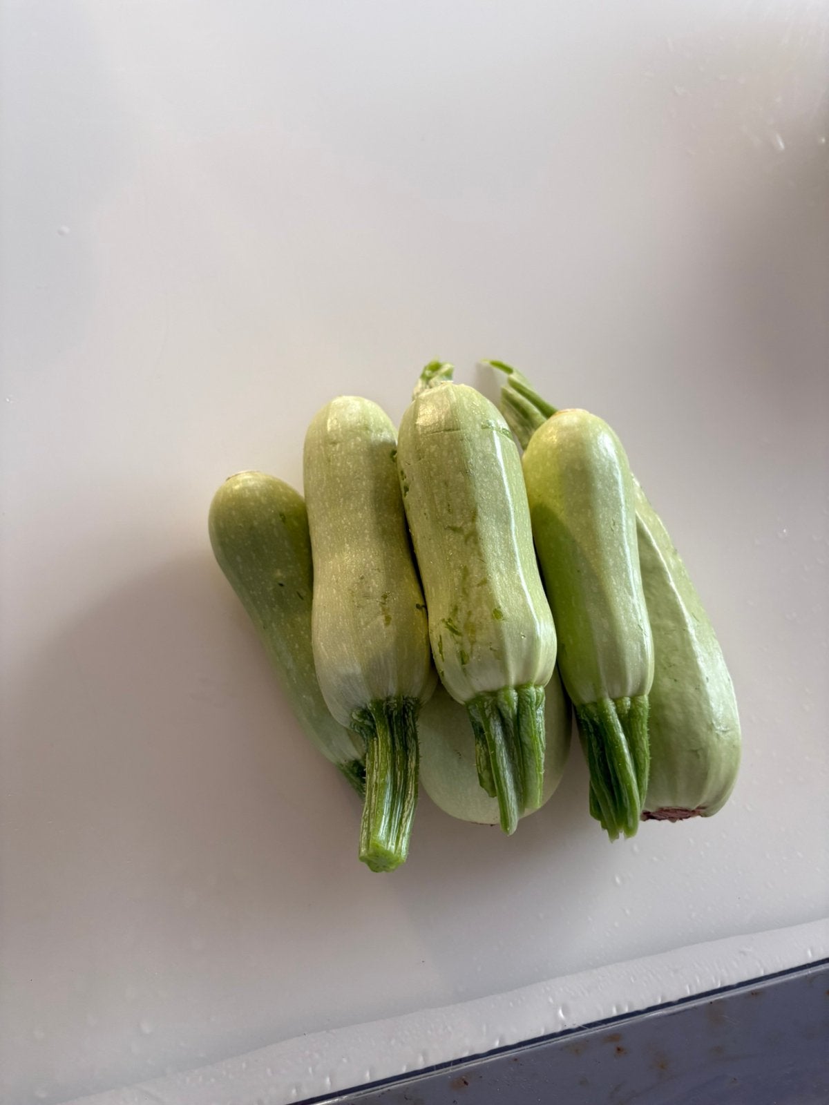 Zucchini, Jardin & Terrasse, Bulbes & Semences, Enlèvement