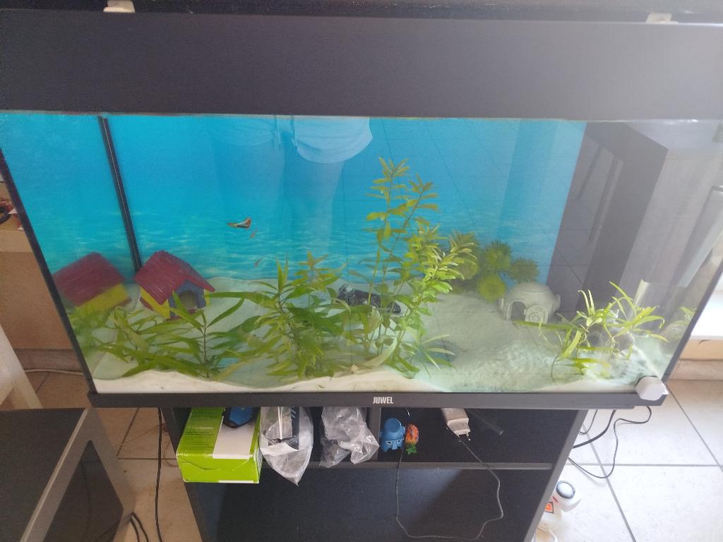 In Ruil zoek ik een Grote Aquarium met Kast, Enlèvement, Utilisé, Decoratie, Juwel