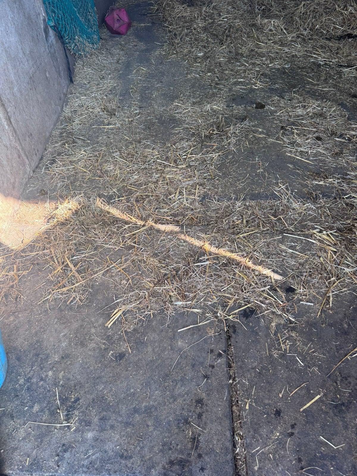 Tapis en acier, Pâturage