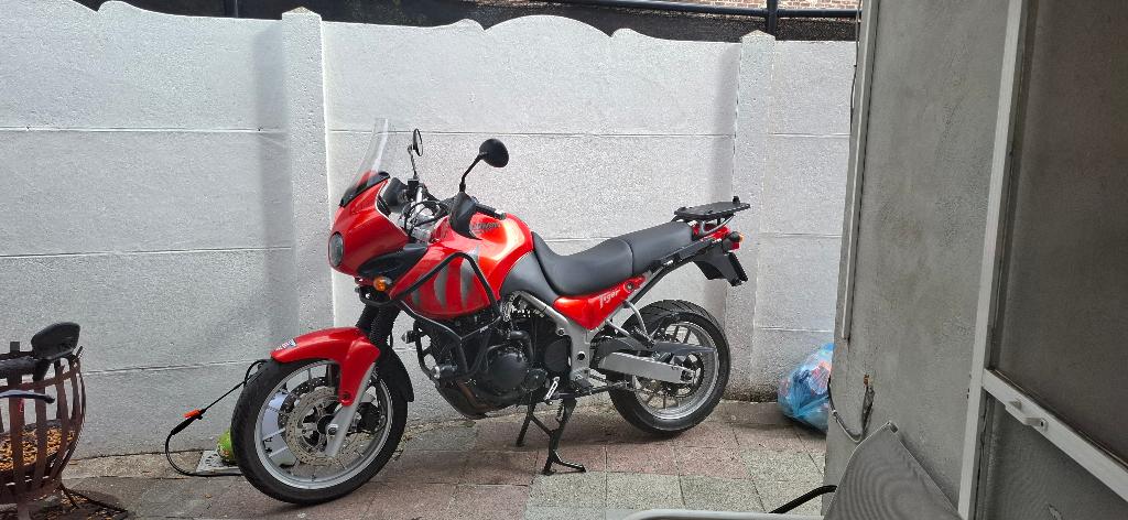 Triumph tiger 955i, Handvatverwarming, Occasion, Motorrijbewijs A, 3 cilinders