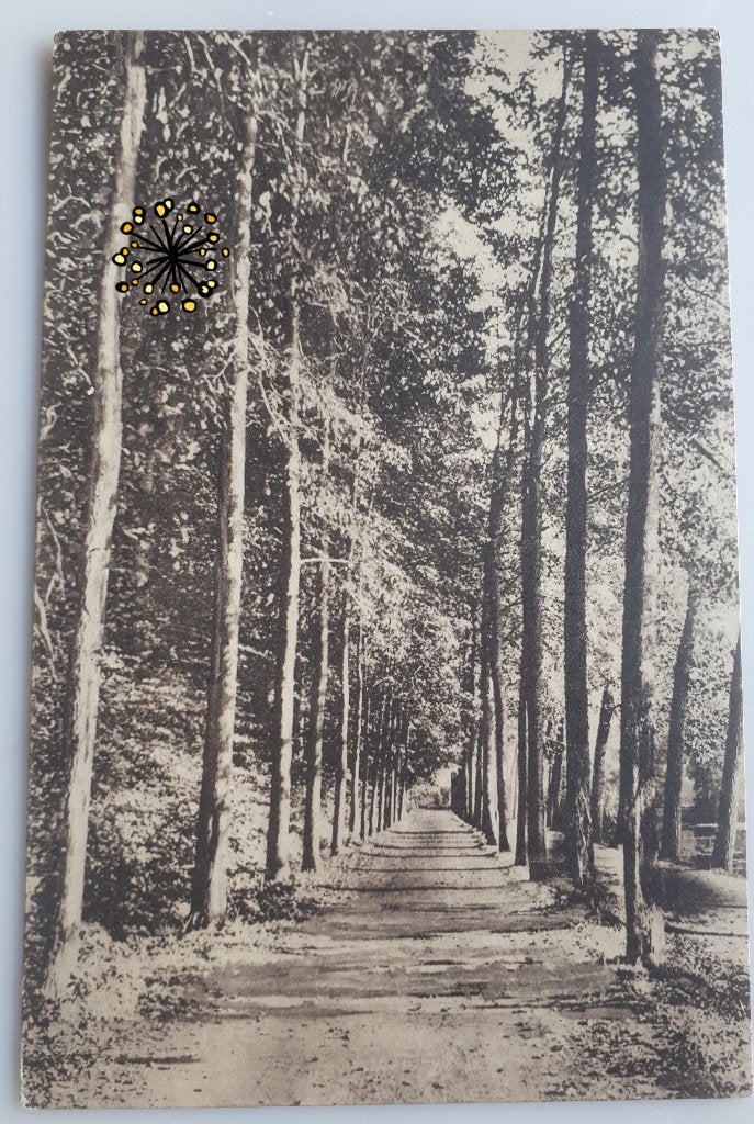 Oude postkaart AUDERGHEM Au bord du grand étang Ref 75, Ophalen of Verzenden, 1920 tot 1940, Ongelopen, Brussel (Gewest)