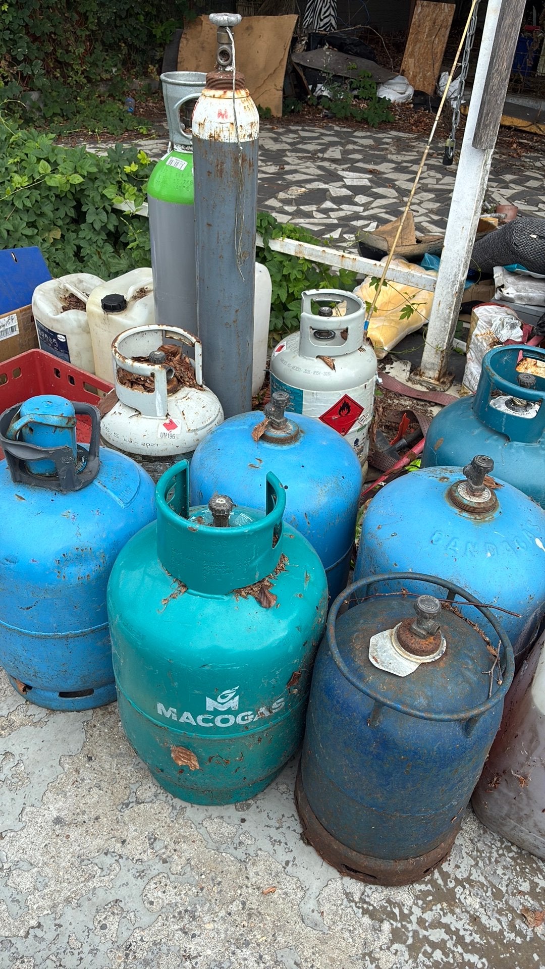 Gas, Enlèvement ou Envoi, Comme neuf