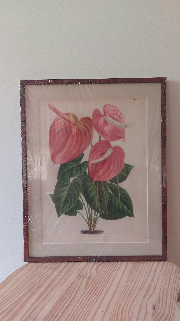 kadertjes, Ophalen, Bruin, Kunststof, Nieuw
