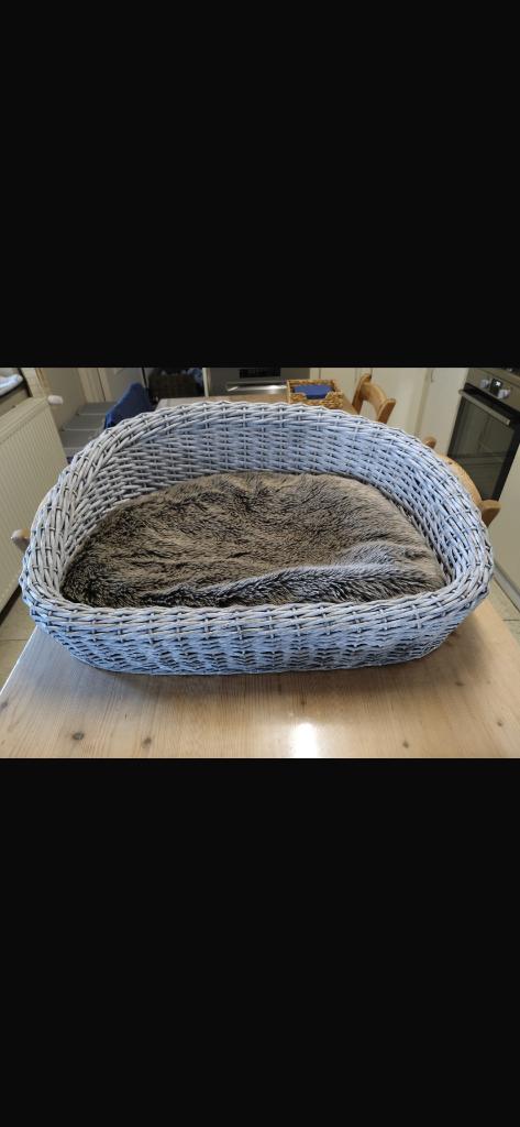 Katten, hondenkorf, Ophalen, Zo goed als nieuw