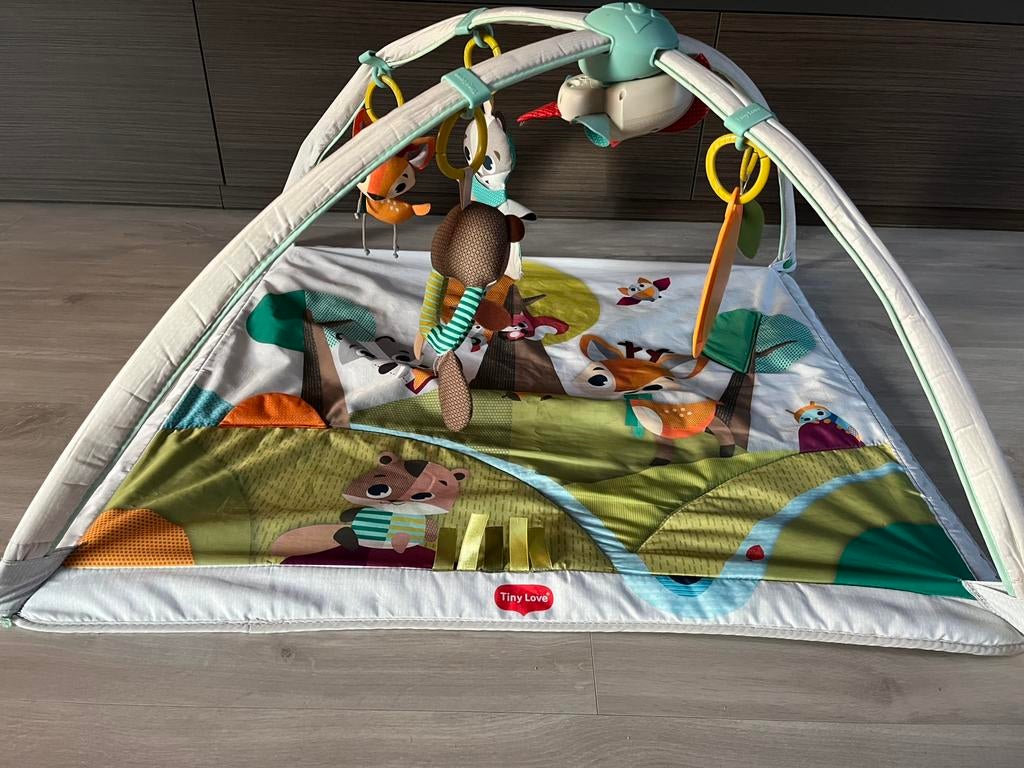 Tiny Love babygym, Ophalen, Gebruikt