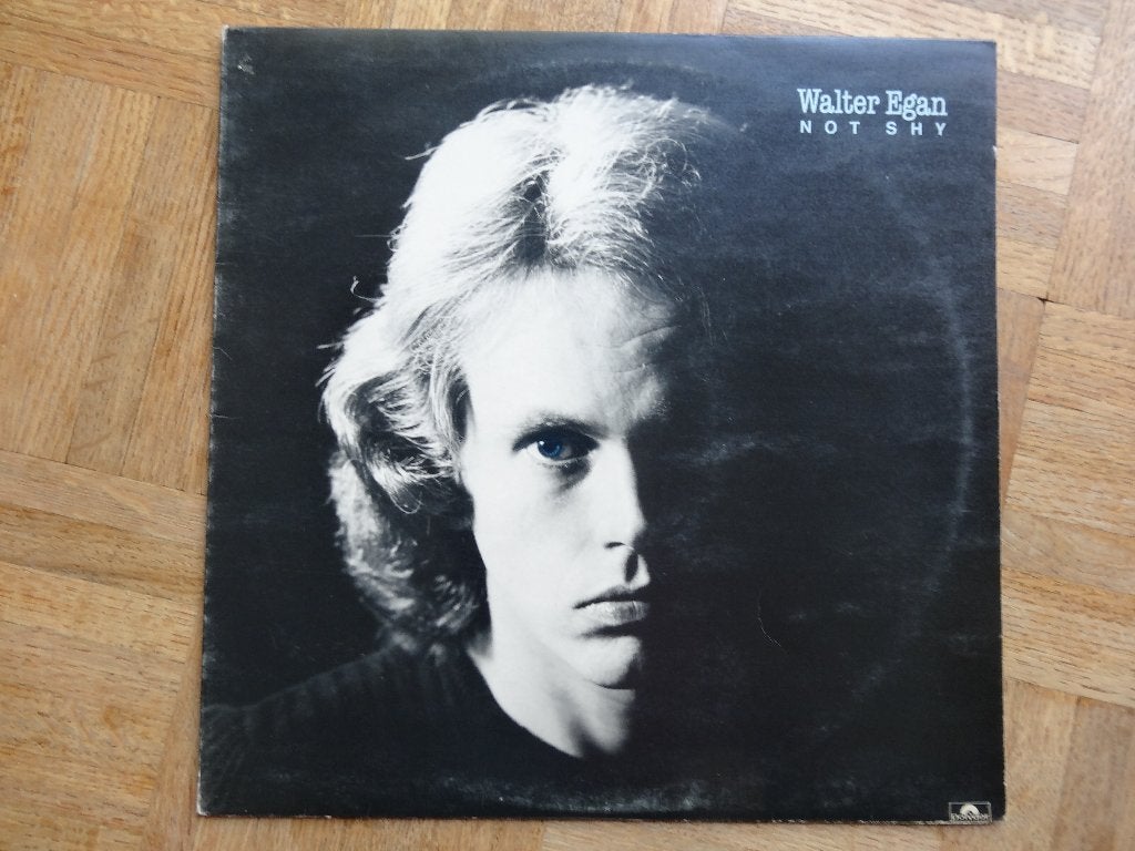 Walter Egan, Pop rock, Enlèvement ou Envoi, Utilisé, LP