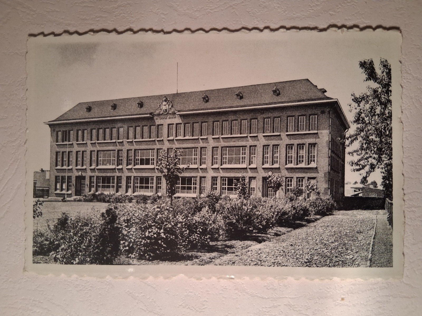 vintage Postkaart Heilig-Kruis College van Denderleeuw, Enlèvement ou Envoi