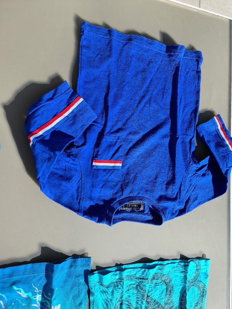 blauwe t-shirt, longsleef met strepen, Next, 92, Kinderen en Baby's, Kinderkleding | Maat 92, Ophalen, Zo goed als nieuw