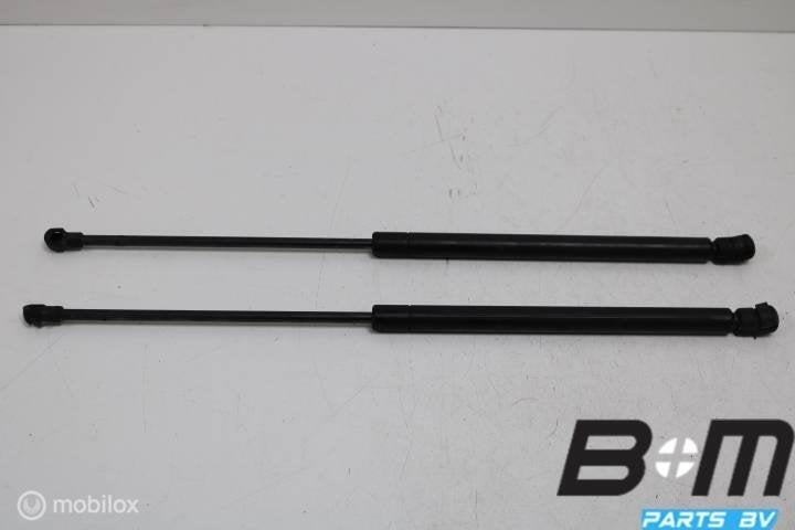 Set gasdrukveren achterklep Audi A3 8L 8D9827552, Gebruikt