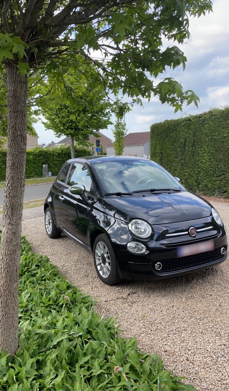 Fiat 500 te koop 2019, Autos, Fiat, 1242 cm³, Achat, Euro 6, Entreprise